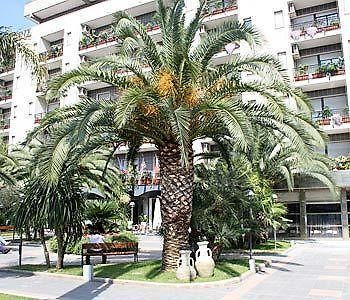 Rondo' Hotel 巴里 外观 照片